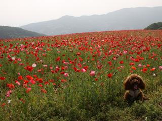 20130522_09.jpg