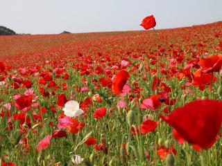 20130522_12.jpg