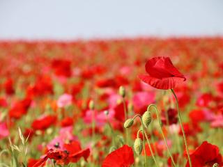 20130522_18.jpg