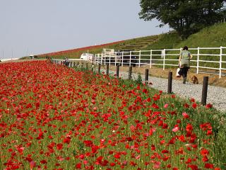 20130522_19.jpg