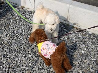 20130522_20.jpg