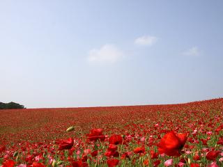 20130522_21.jpg