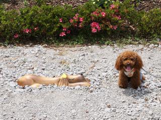 20130525_30.jpg