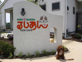 20130525_31.jpg