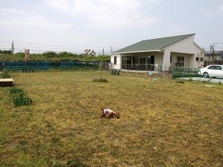 20130525_37.jpg