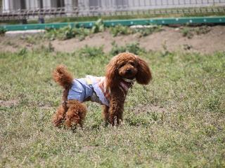 20130525_47.jpg