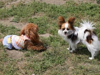 20130525_49.jpg