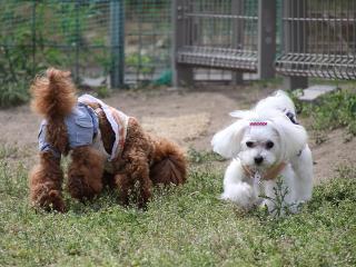 20130525_51.jpg