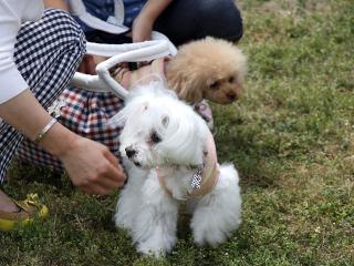 20130525_52.jpg