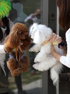20130525_53.jpg