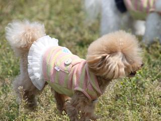 20130525_54.jpg