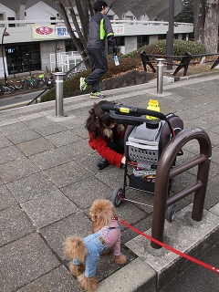 20140125_02.jpg