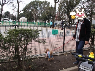 20140125_05.jpg