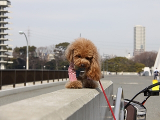 20140125_07.jpg