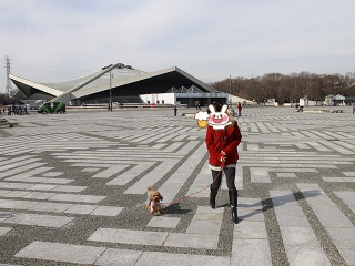 20140125_09.jpg