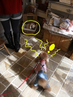 20140125_14.jpg