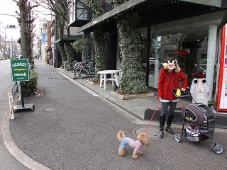 20140125_19.jpg