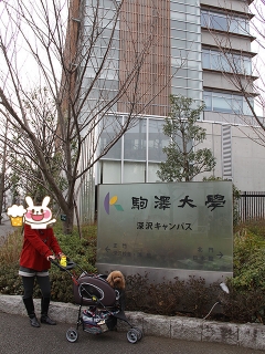 20140125_21.jpg