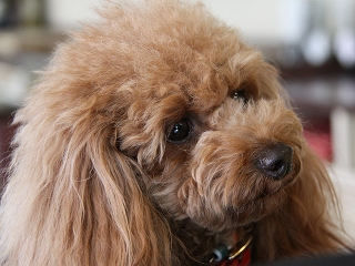 20140125_26.jpg
