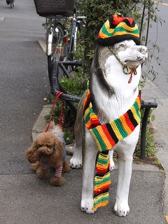 20140125_38.jpg