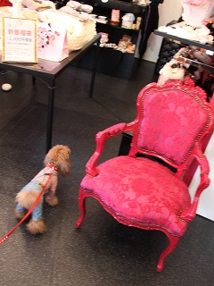 20140125_46.jpg
