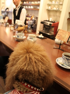 20140125_62.jpg