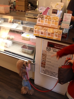 20140125_65.jpg