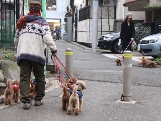 20140125_67.jpg