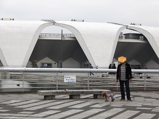 20140125_68.jpg