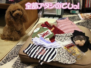 20140125_73.jpg