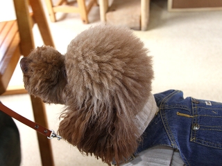 20140126_03.jpg