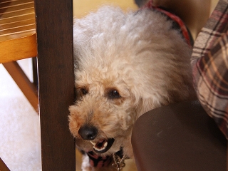 20140126_04.jpg