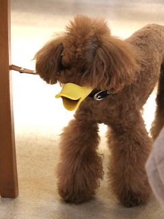 20140126_06.jpg