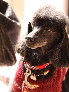 20140126_07.jpg