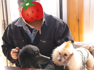 20140126_08.jpg