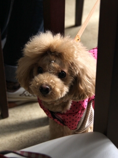 20140126_09.jpg