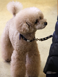 20140126_11.jpg