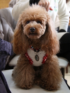 20140126_14.jpg