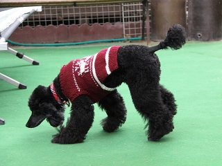 20140126_18.jpg
