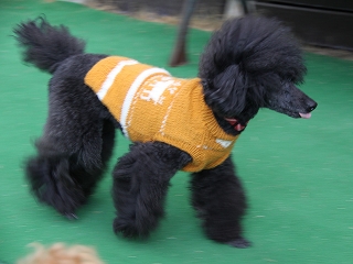 20140126_19.jpg