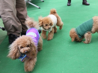 20140126_20.jpg