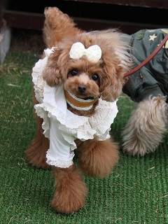 20140126_23.jpg