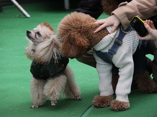 20140126_24.jpg