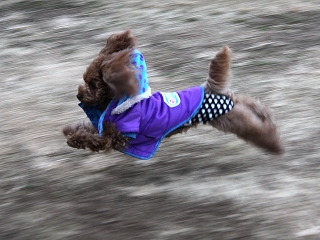 20140126_33.jpg