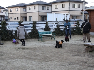 20140126_34.jpg