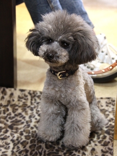 20140126_37.jpg