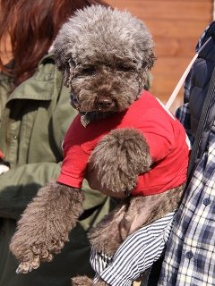 20140201_07.jpg