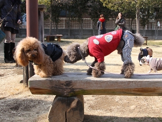 20140201_10.jpg