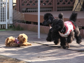 20140201_12.jpg