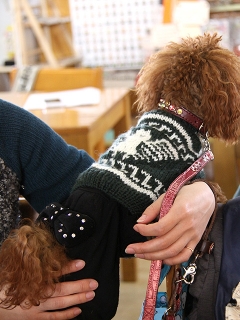 20140201_20.jpg